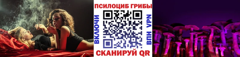 Галлюциногенные грибы GOLDEN TEACHER  купить   Сольцы 